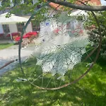 Trautenburg Stub'n イン