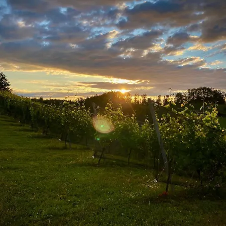 Trautenburg Stub'n * Leutschach