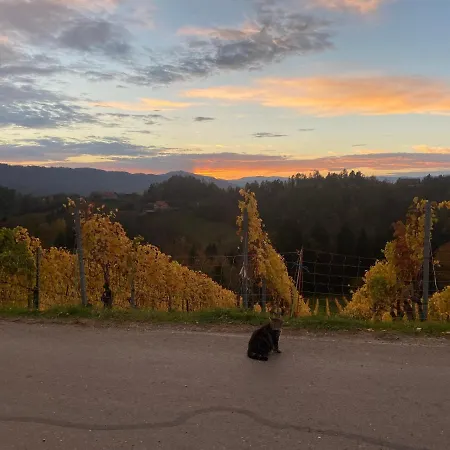 Trautenburg Stub'n * Leutschach