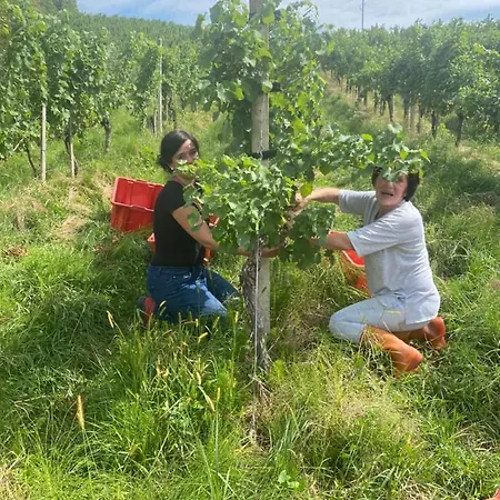 Trautenburg Stub'n * Leutschach