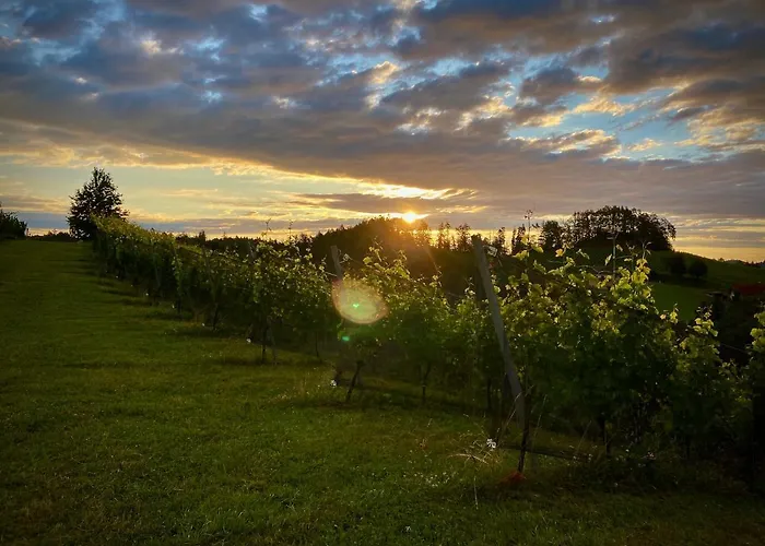 Trautenburg Stub'n * Leutschach