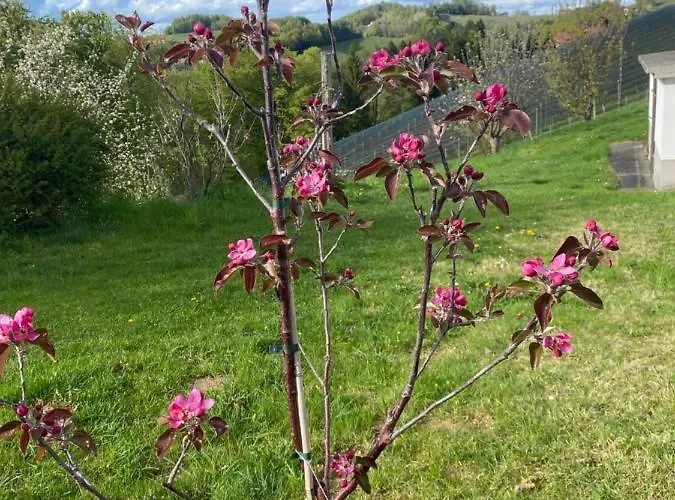 Värdshus Trautenburg Stub'n *