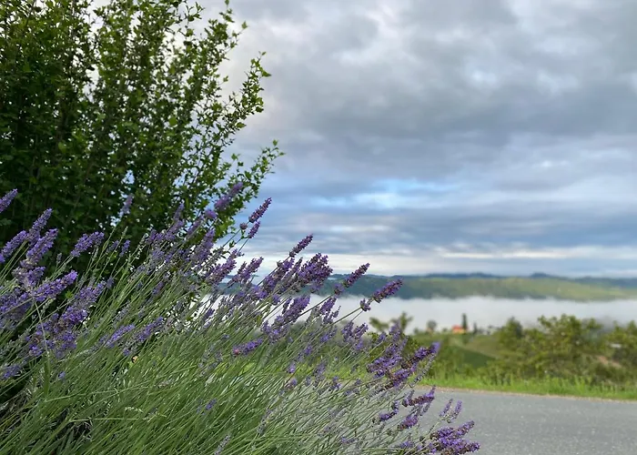 Trautenburg Stub'n Värdshus