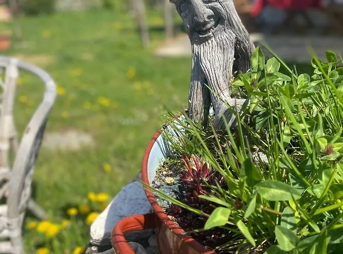 Trautenburg Stub'n 宾馆 里欧查赫