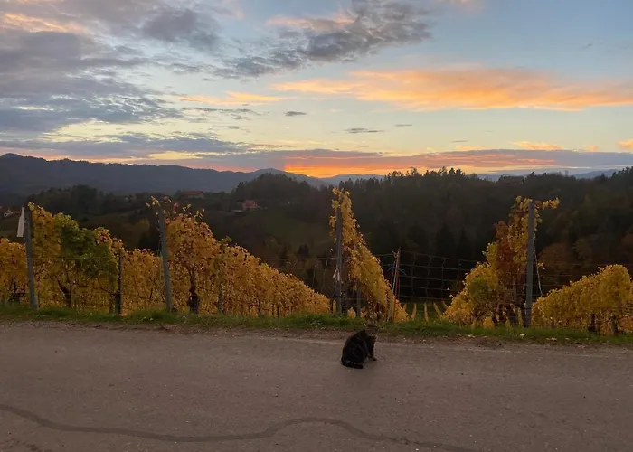 Trautenburg Stub'n * ليوتسشاخ