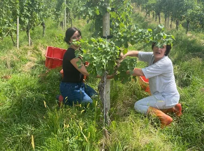 Trautenburg Stub'n * ليوتسشاخ